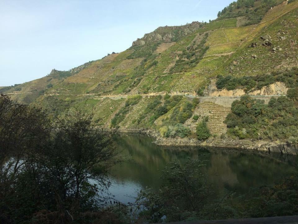Acogedor Apartamento Ribeira Sacra Monforte De Lemos Eksteriør bilde