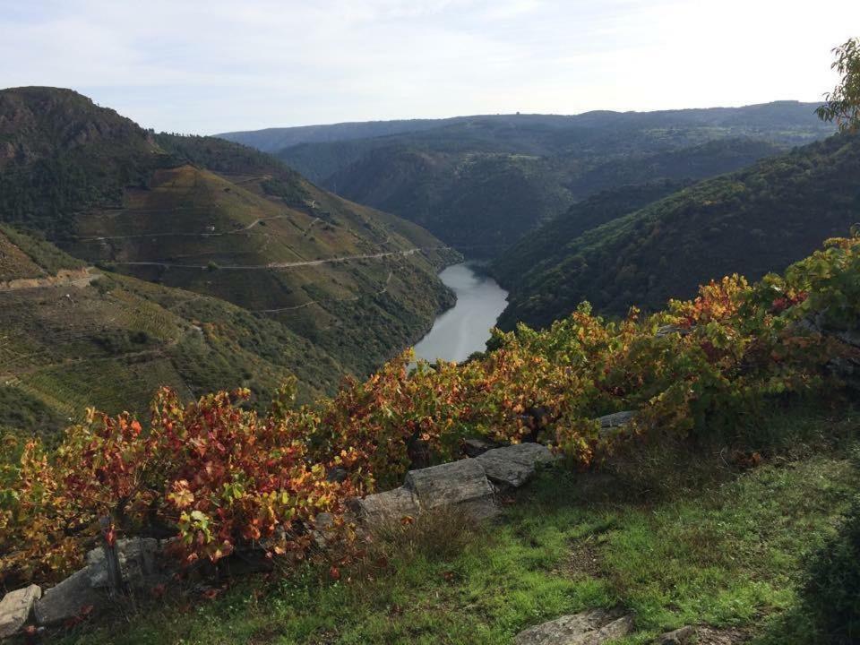 Acogedor Apartamento Ribeira Sacra Monforte De Lemos Eksteriør bilde